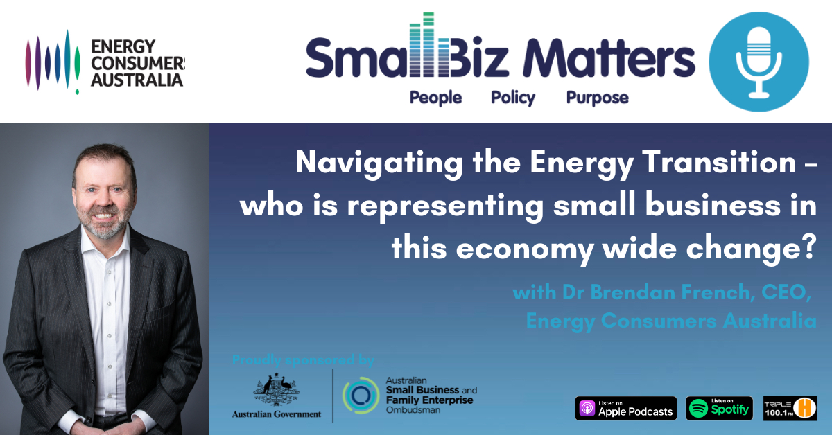 EP#233 ~ Navigating the Energy Transition. Who is representing small business in economy wide change?